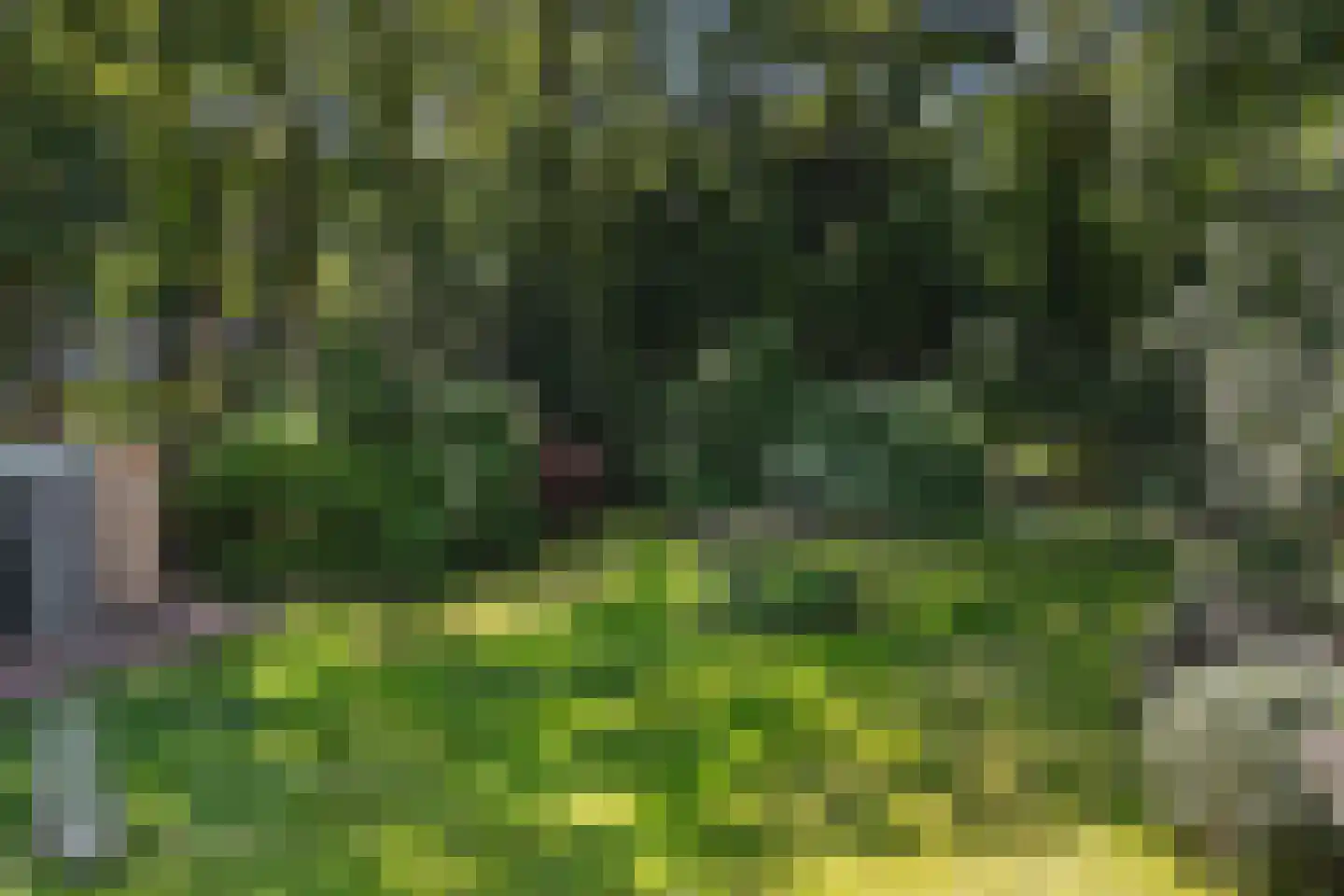 Heemstrasingel 6 Oentsjerk thumbnail 70