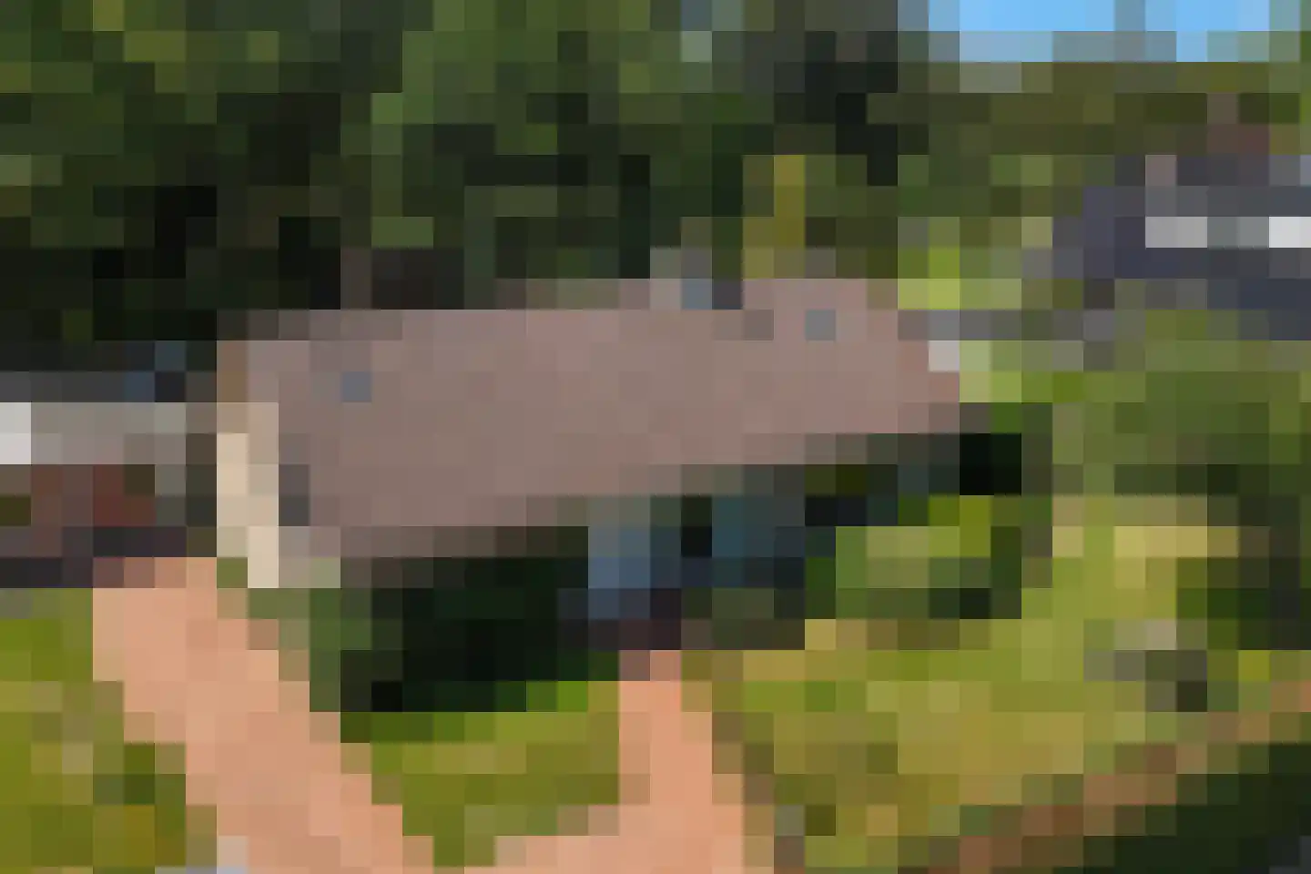 Heemstrasingel 6 Oentsjerk thumbnail 72