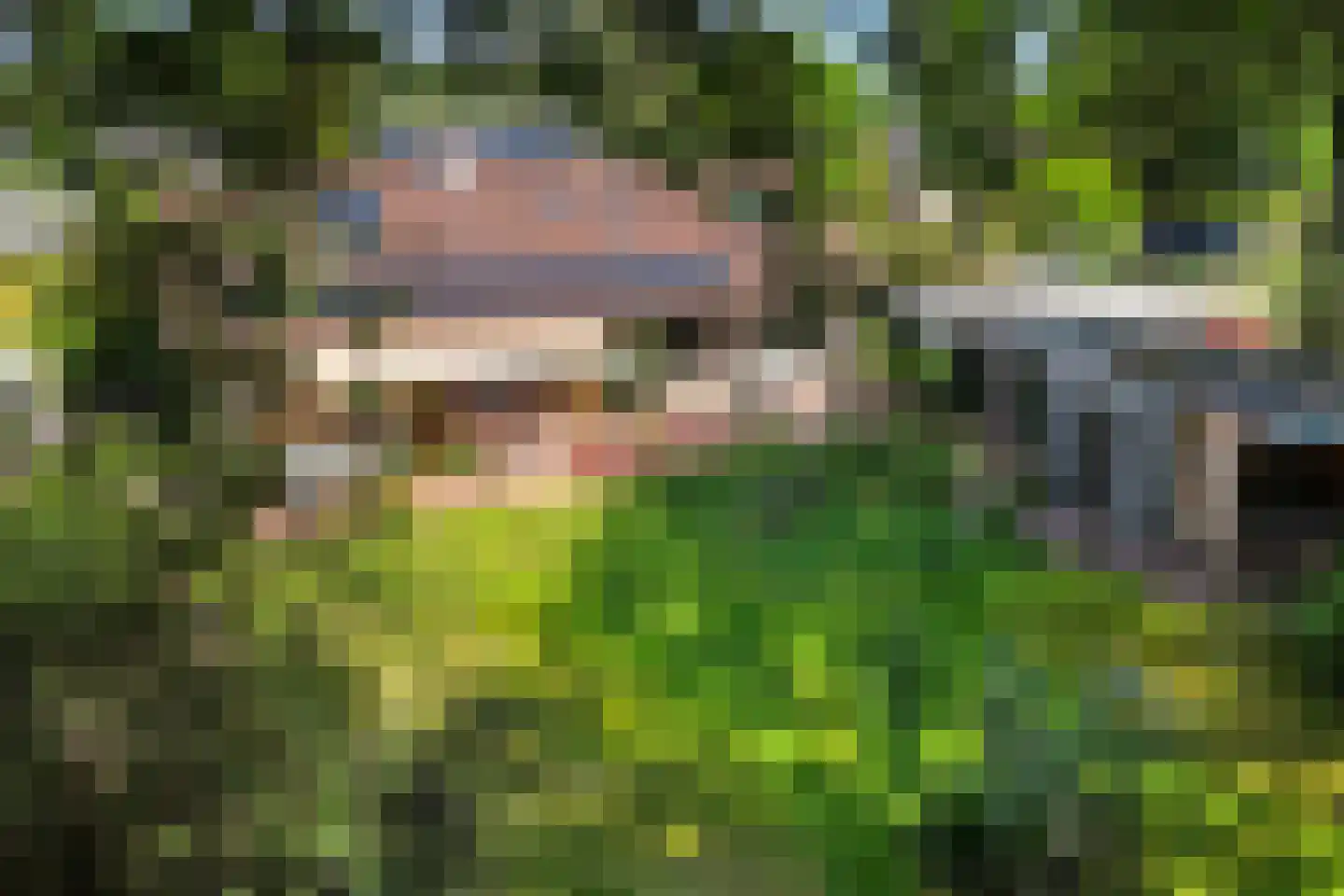 Heemstrasingel 6 Oentsjerk thumbnail 75