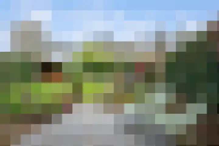 Heemtuin 18 Bleiswijk thumbnail 18