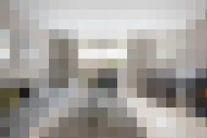 Heemtuin 18 Bleiswijk thumbnail 5