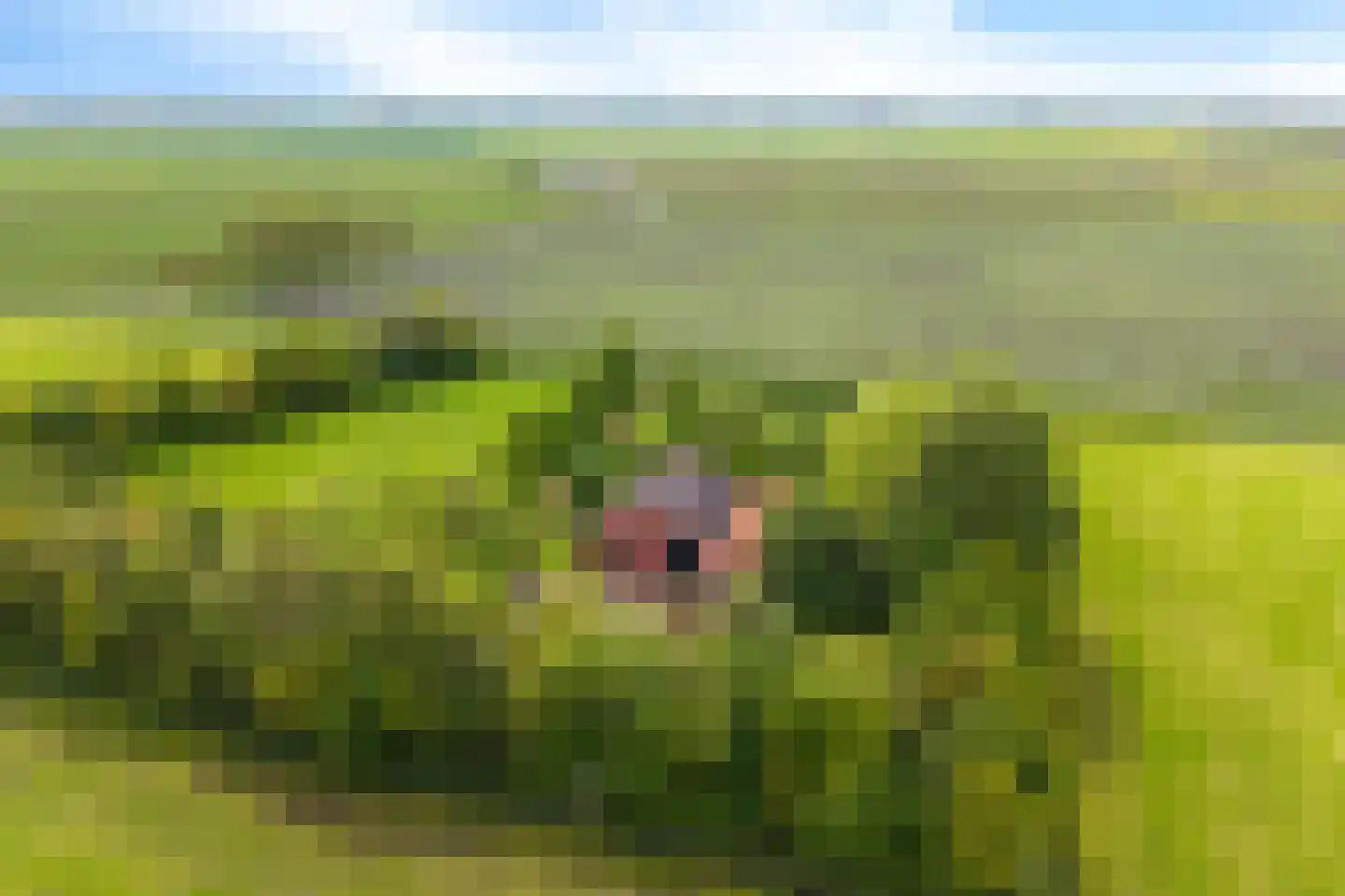 Heemweg 16 Woldendorp thumbnail 10