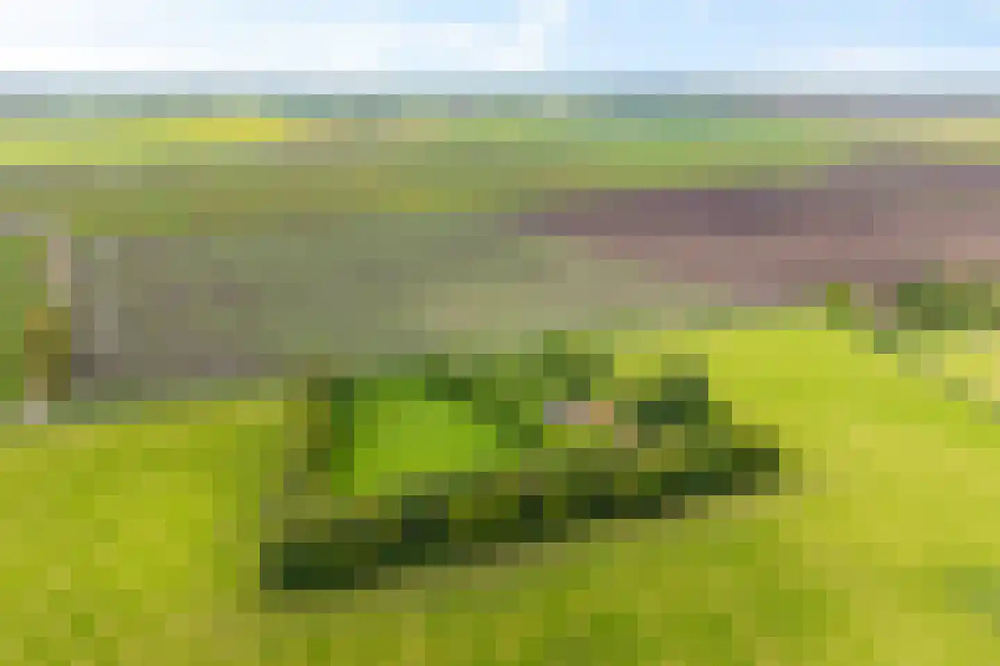 Heemweg 16 Woldendorp thumbnail 11