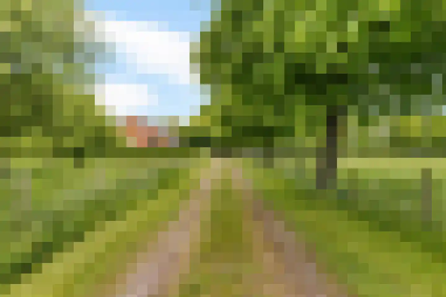 Heemweg 16 Woldendorp thumbnail 13