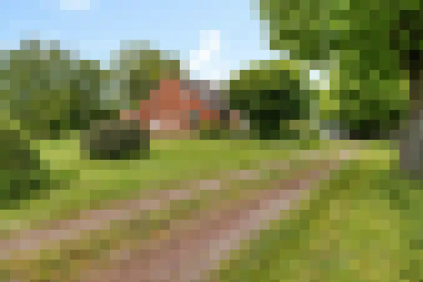 Heemweg 16 Woldendorp thumbnail 14