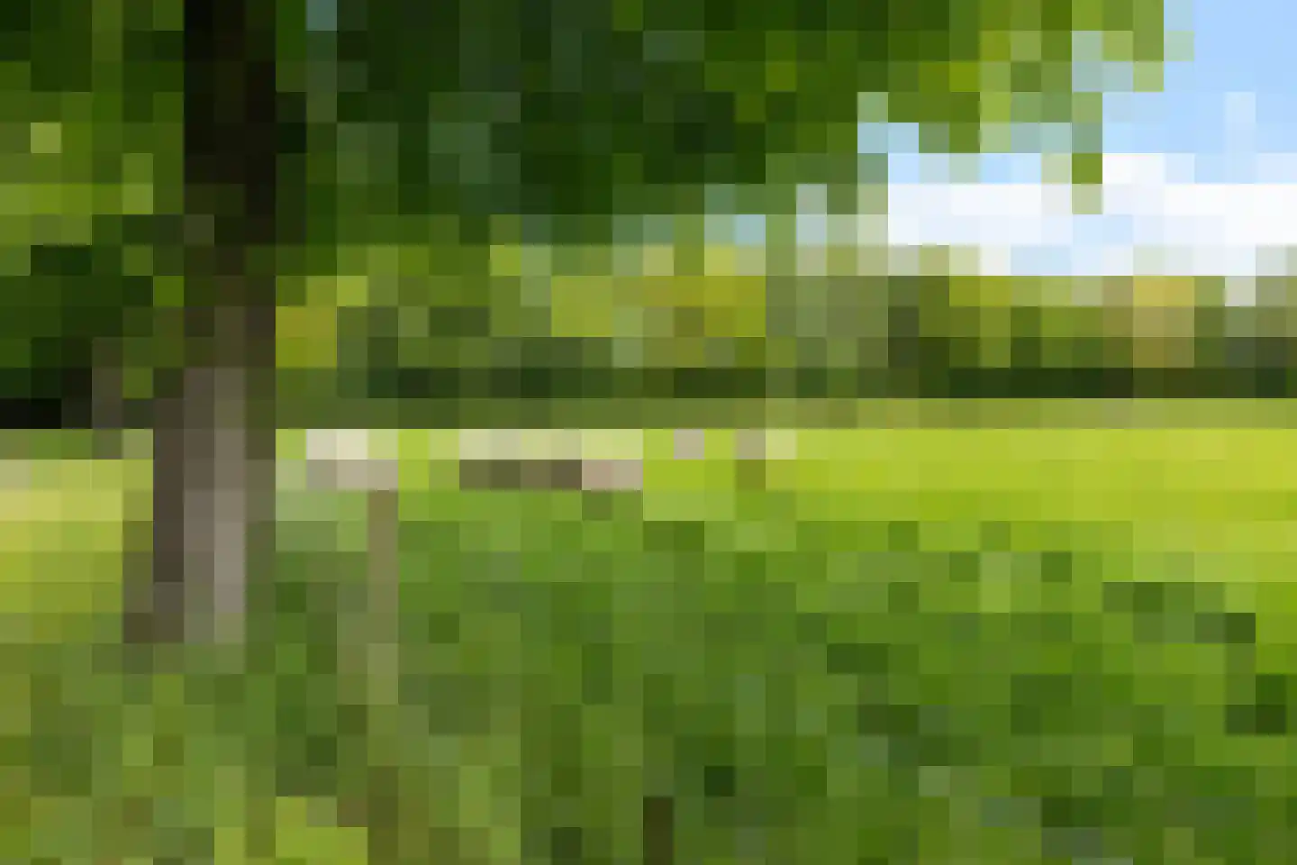 Heemweg 16 Woldendorp thumbnail 15