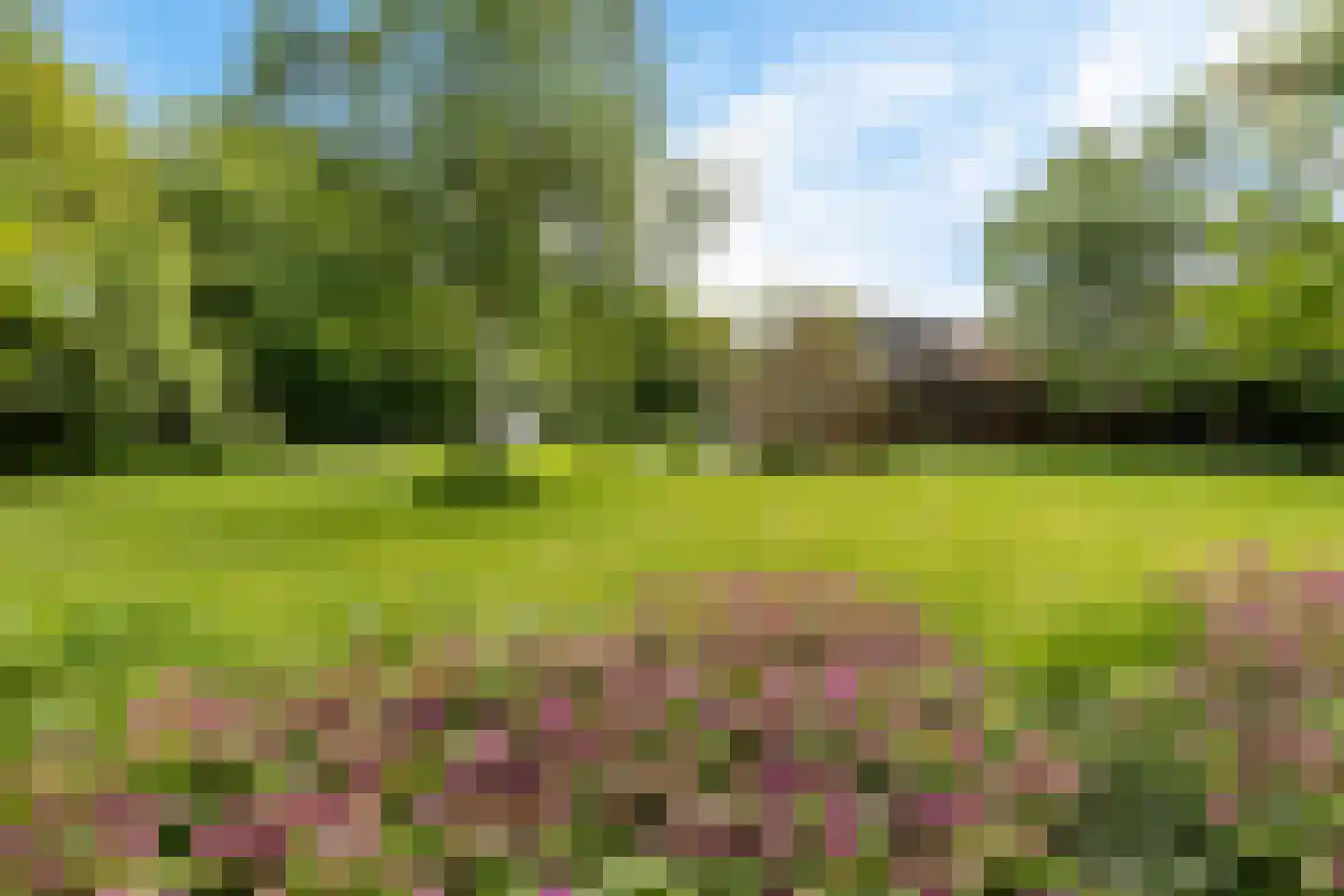 Heemweg 16 Woldendorp thumbnail 22