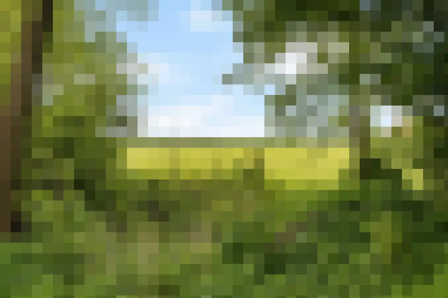 Heemweg 16 Woldendorp thumbnail 23