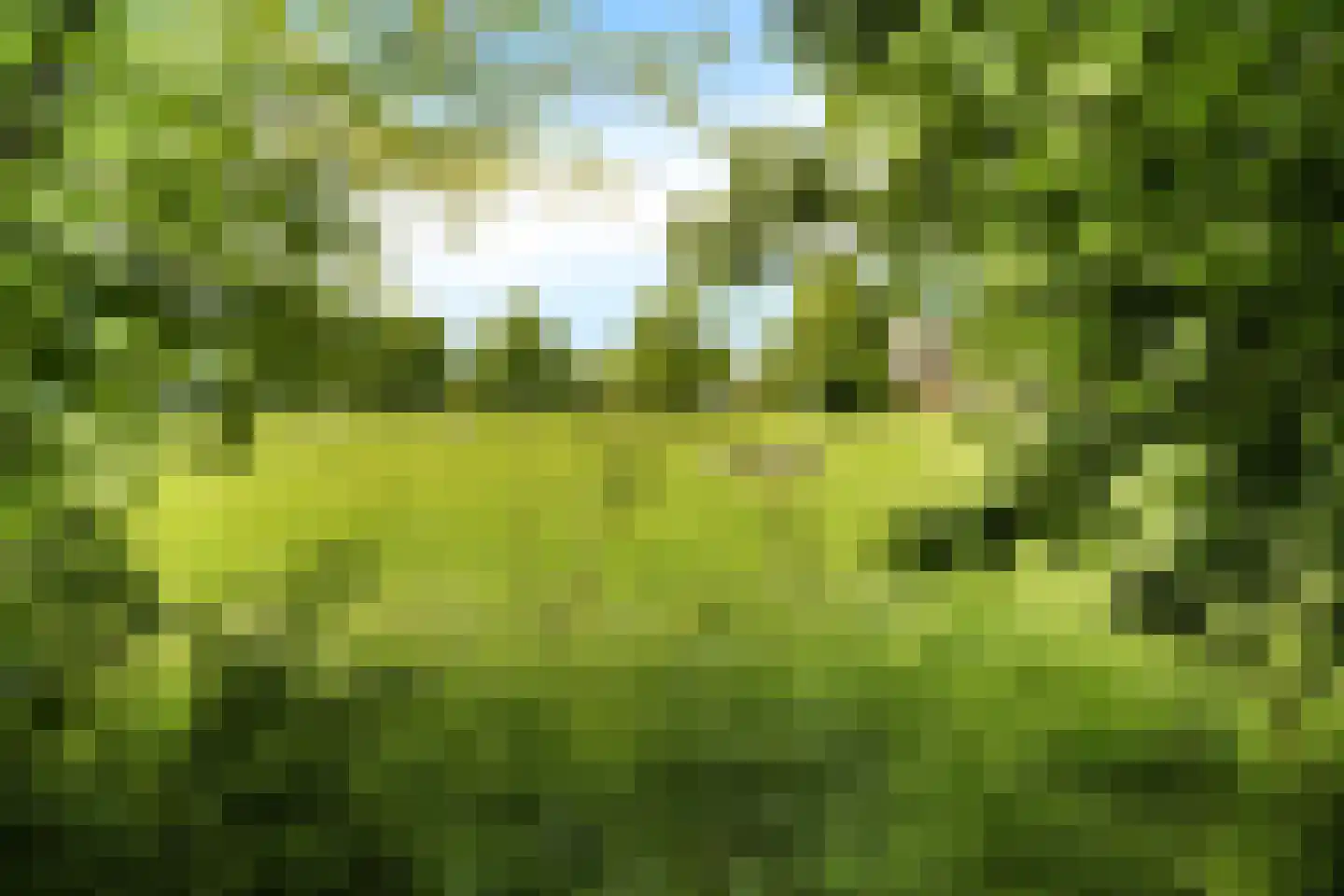 Heemweg 16 Woldendorp thumbnail 24