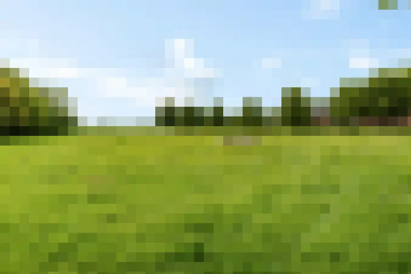 Heemweg 16 Woldendorp thumbnail 25