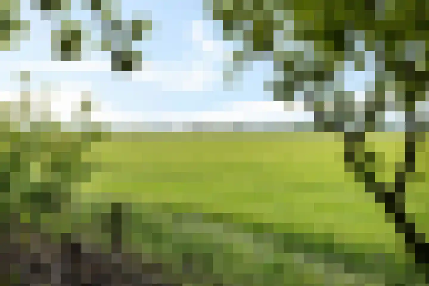 Heemweg 16 Woldendorp thumbnail 26