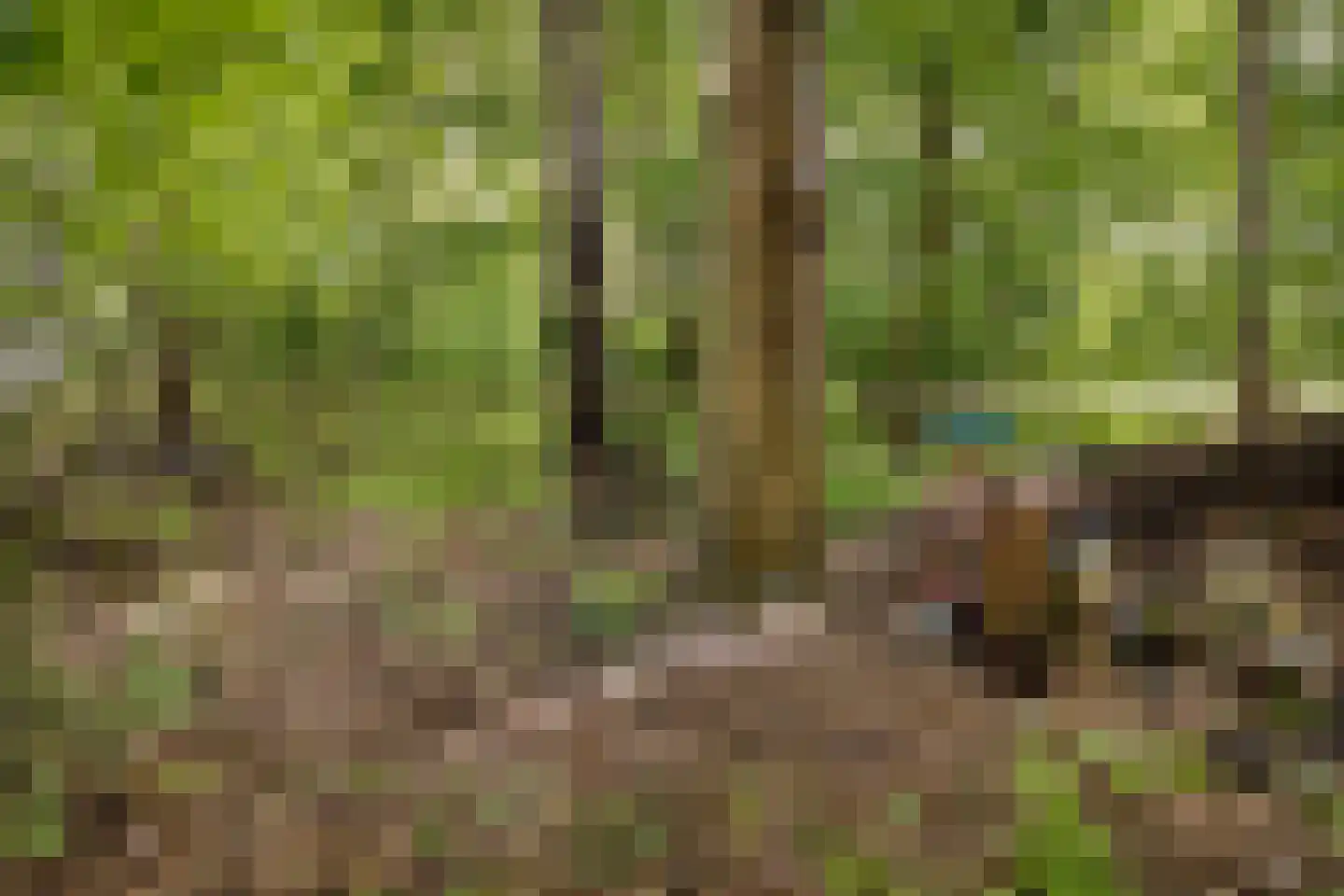 Heemweg 16 Woldendorp thumbnail 27