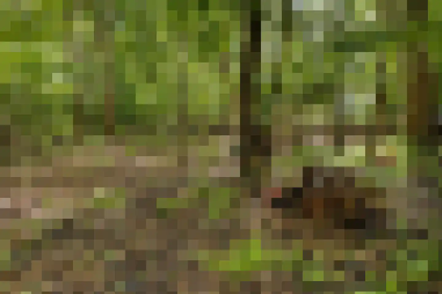Heemweg 16 Woldendorp thumbnail 28