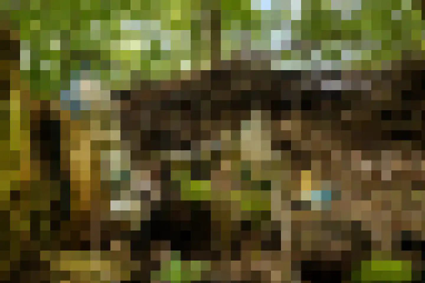Heemweg 16 Woldendorp thumbnail 29