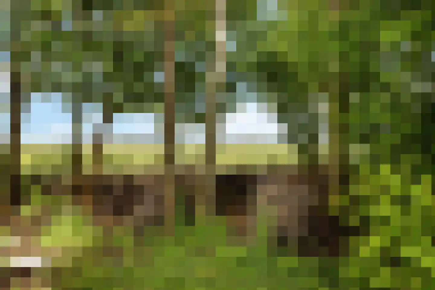 Heemweg 16 Woldendorp thumbnail 30