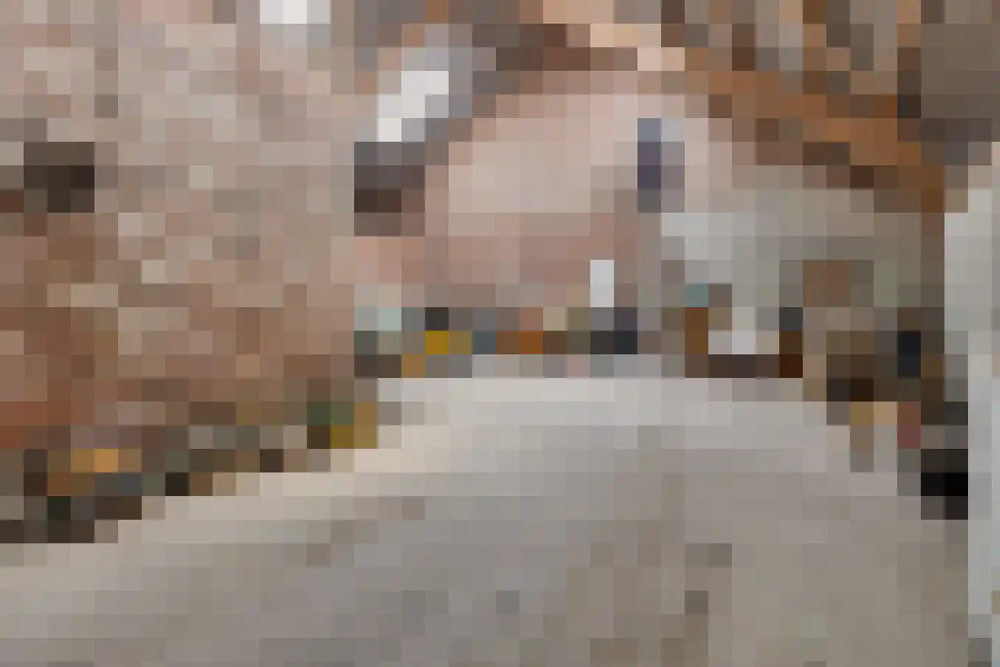 Heemweg 16 Woldendorp thumbnail 51