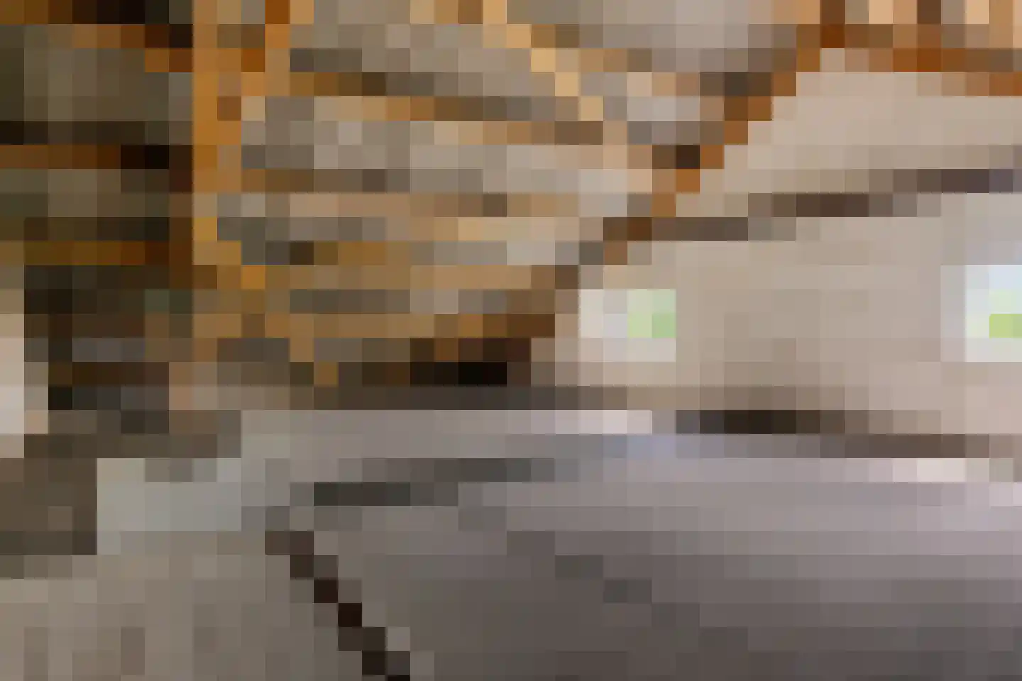 Heemweg 16 Woldendorp thumbnail 54