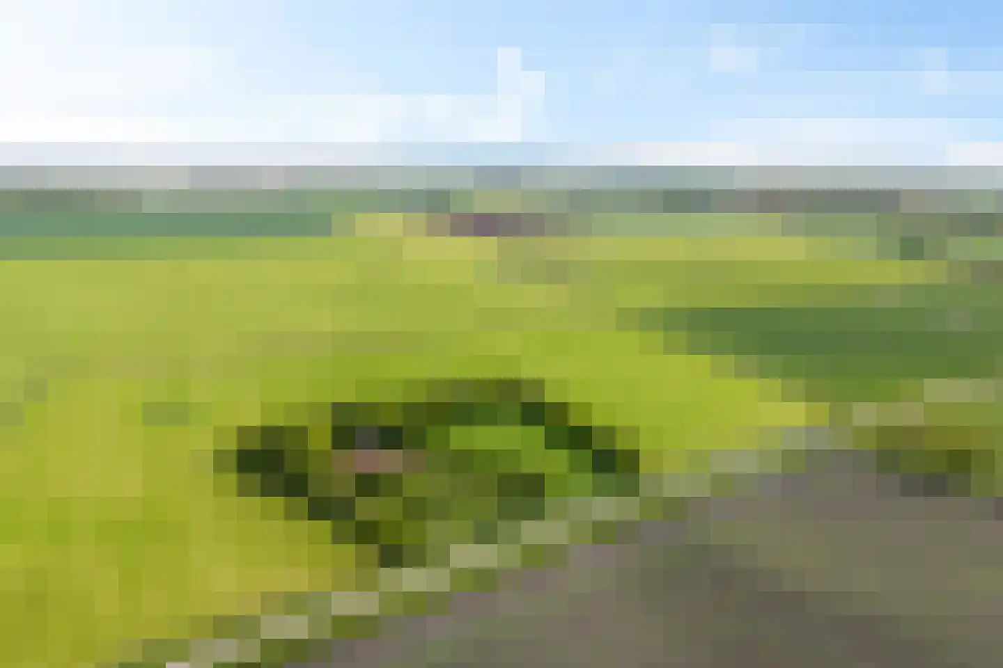 Heemweg 16 Woldendorp thumbnail 6