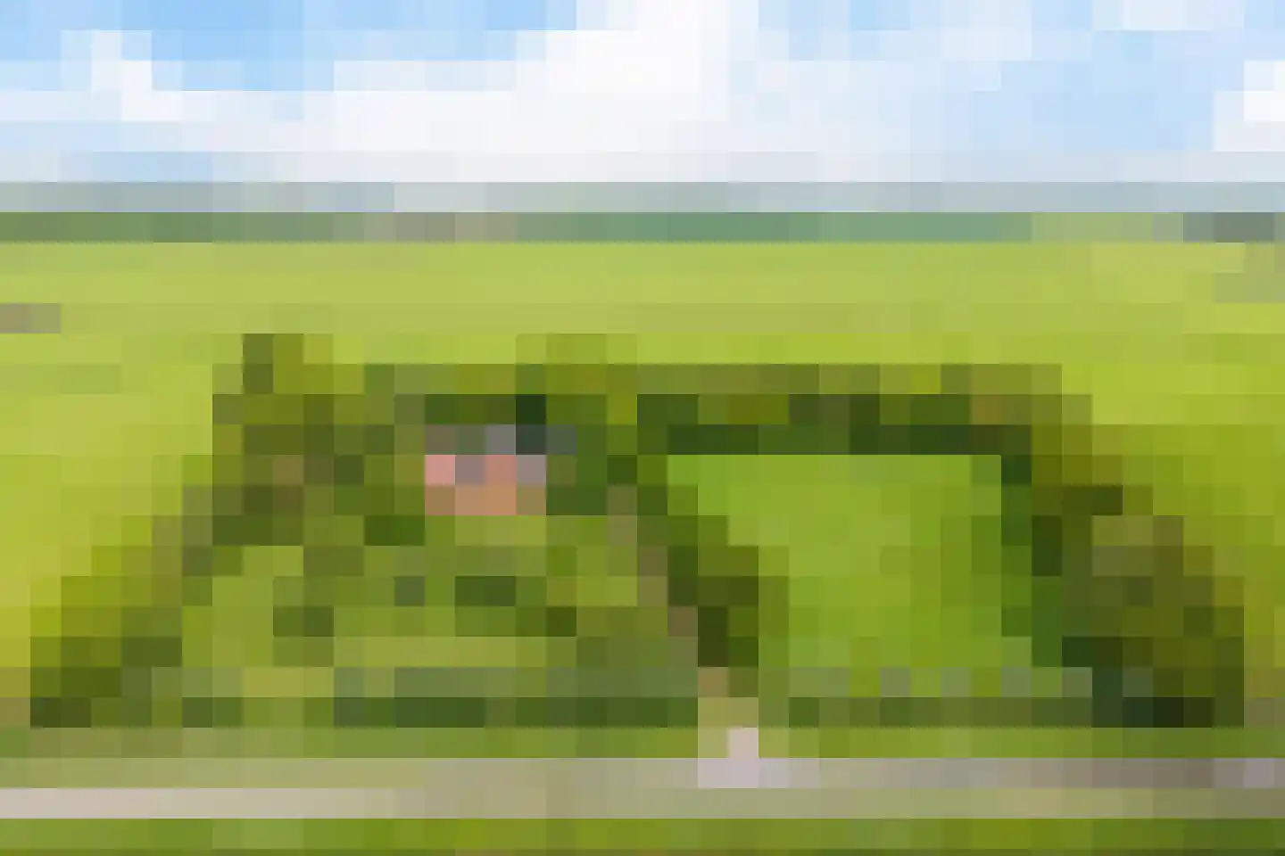 Heemweg 16 Woldendorp thumbnail 7
