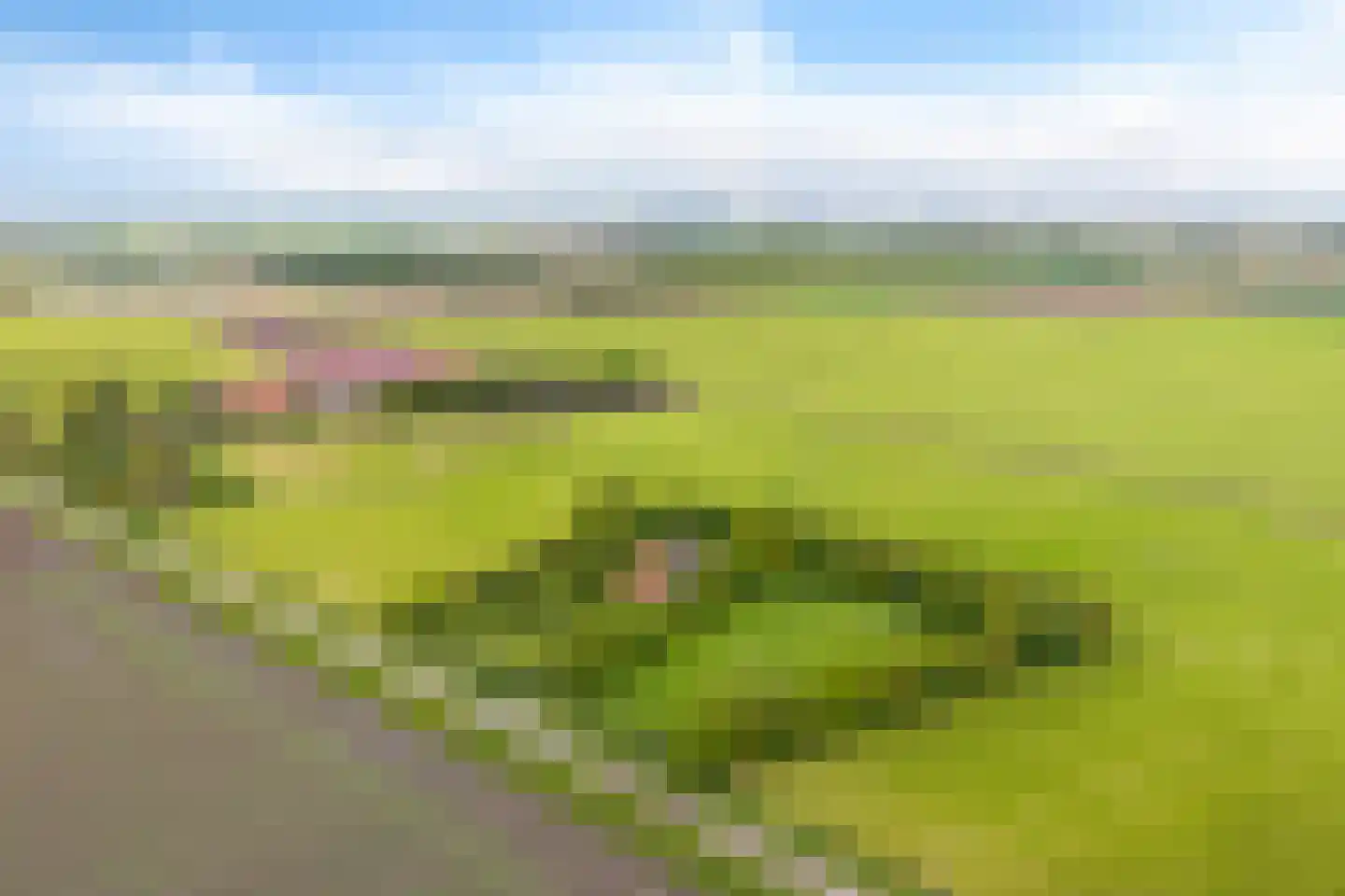 Heemweg 16 Woldendorp thumbnail 8