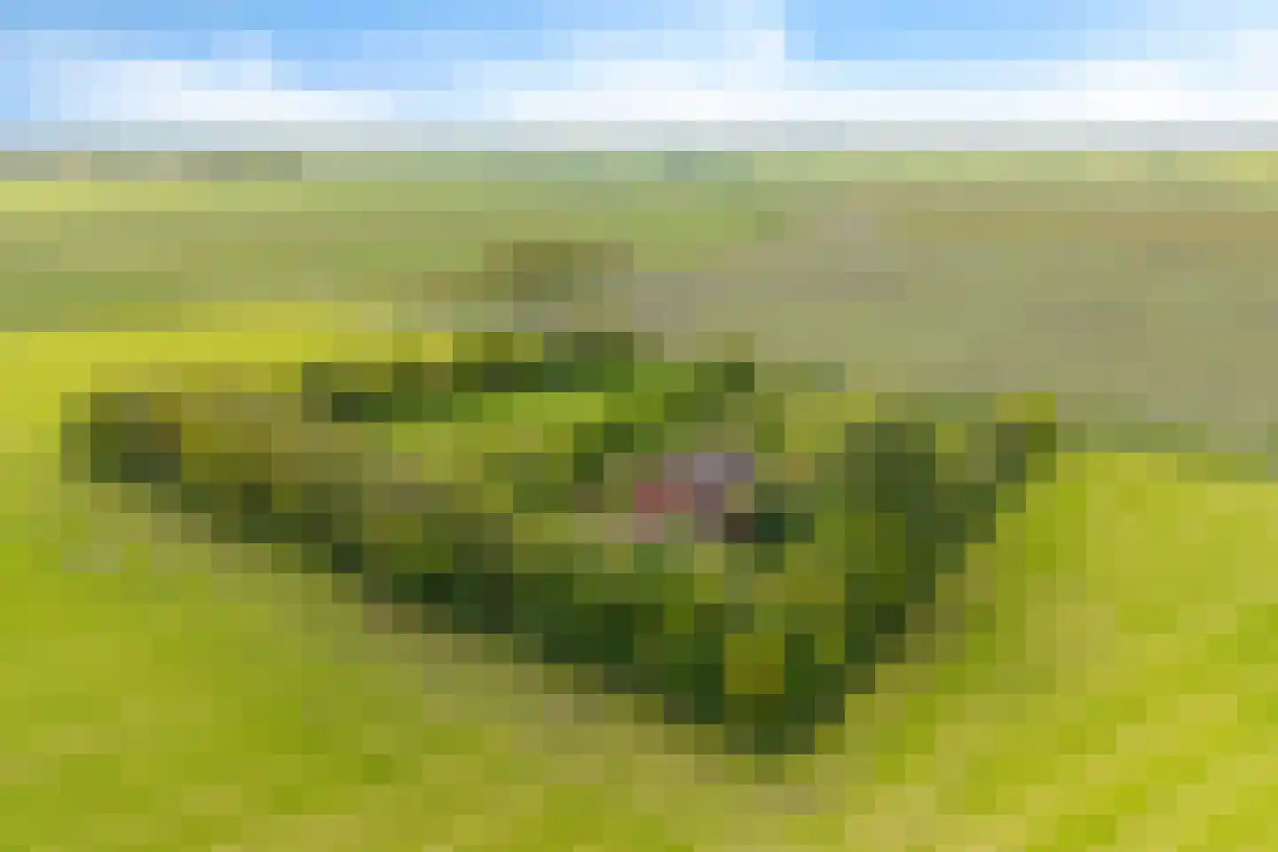 Heemweg 16 Woldendorp thumbnail 9