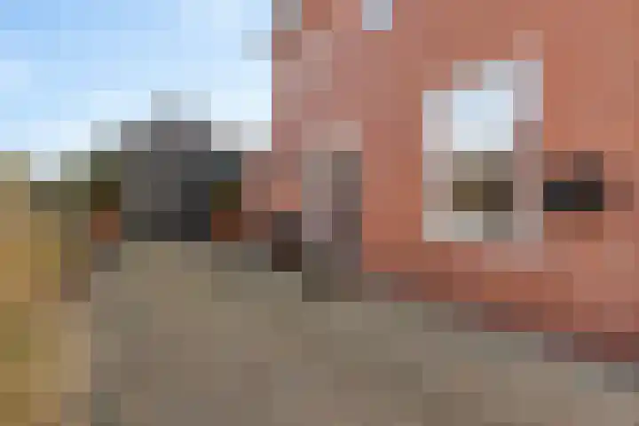 Heemweg 8 Woldendorp thumbnail 12