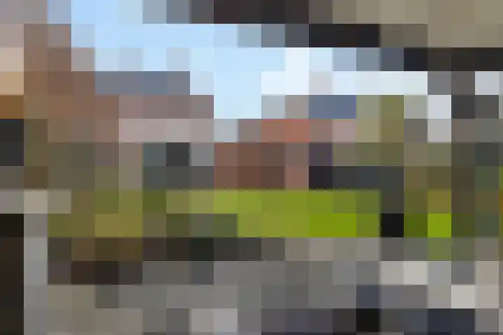 Heemweg 8 Woldendorp thumbnail 16