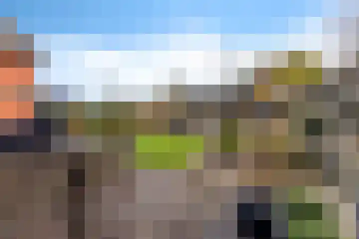Heemweg 8 Woldendorp thumbnail 19