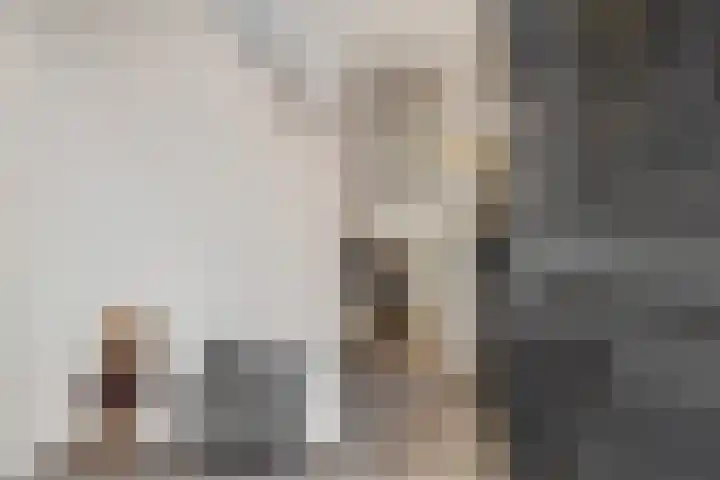 Heemweg 8 Woldendorp thumbnail 25