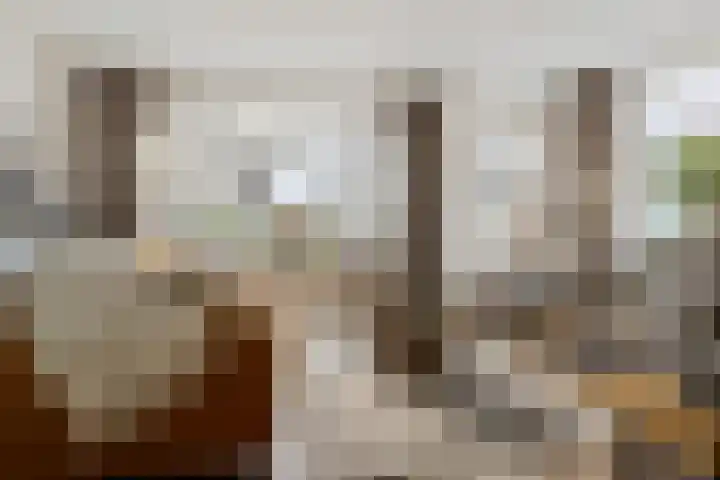 Heemweg 8 Woldendorp thumbnail 28