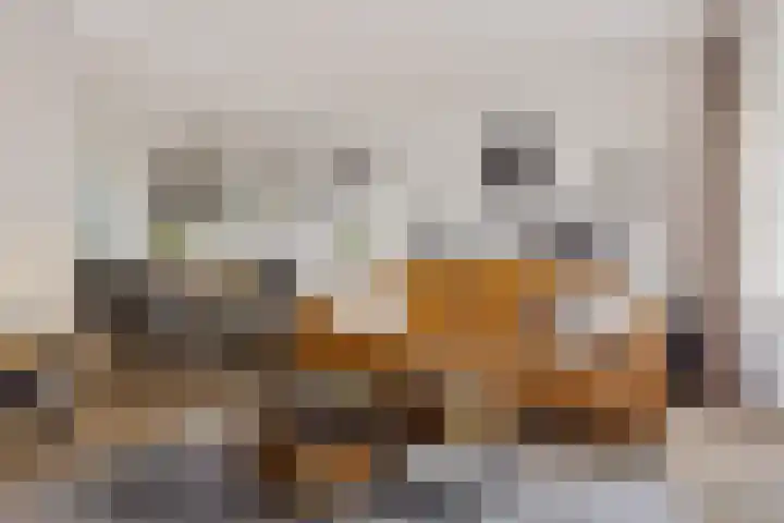 Heemweg 8 Woldendorp thumbnail 31