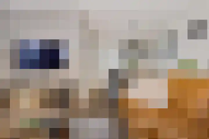 Heemweg 8 Woldendorp thumbnail 32