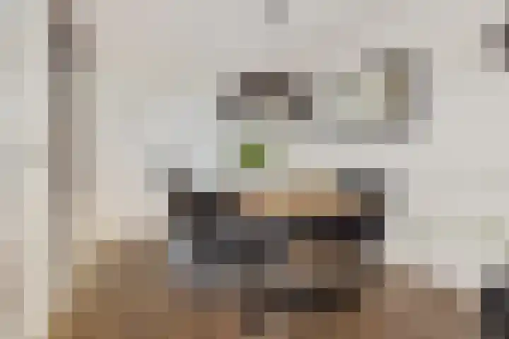 Heemweg 8 Woldendorp thumbnail 33