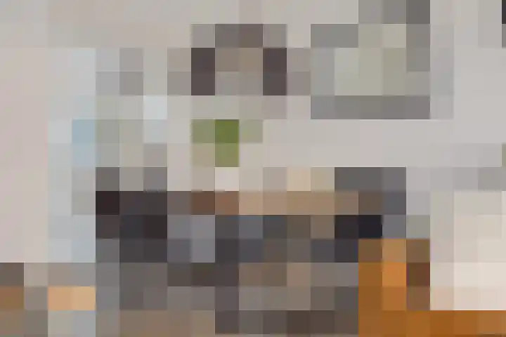 Heemweg 8 Woldendorp thumbnail 34