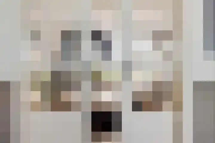 Heemweg 8 Woldendorp thumbnail 35