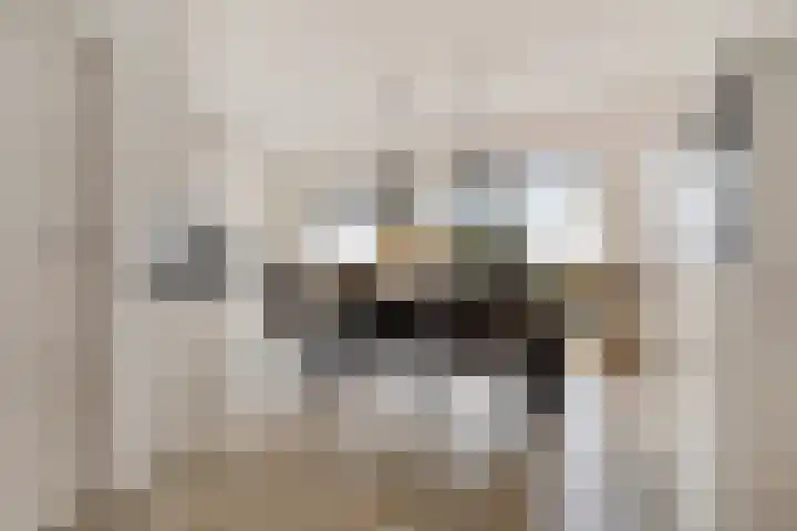 Heemweg 8 Woldendorp thumbnail 36