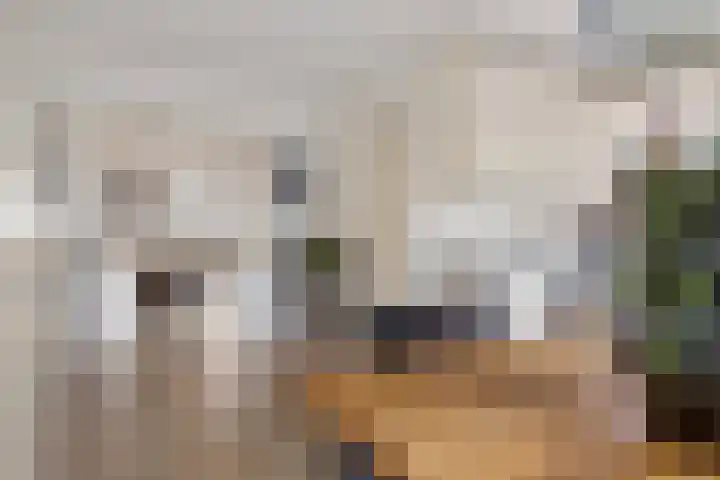 Heemweg 8 Woldendorp thumbnail 37