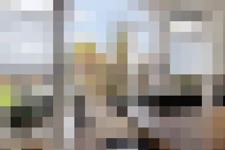 Heemweg 8 Woldendorp thumbnail 41