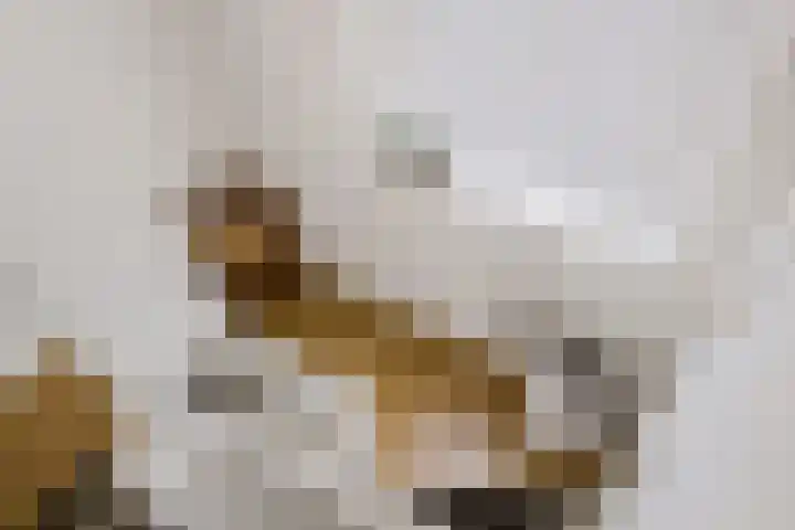 Heemweg 8 Woldendorp thumbnail 45