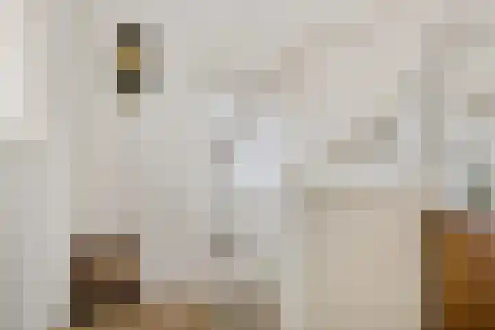 Heemweg 8 Woldendorp thumbnail 46