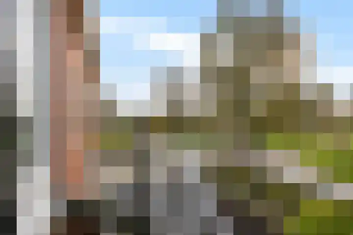 Heemweg 8 Woldendorp thumbnail 49