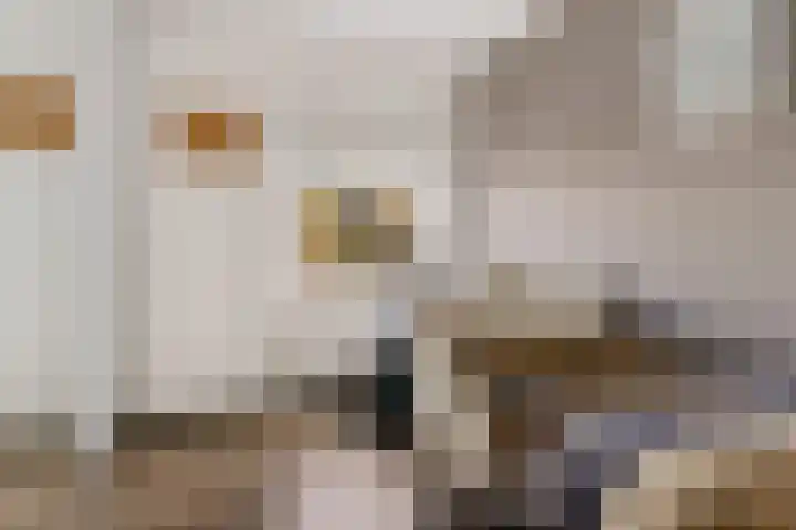 Heemweg 8 Woldendorp thumbnail 51