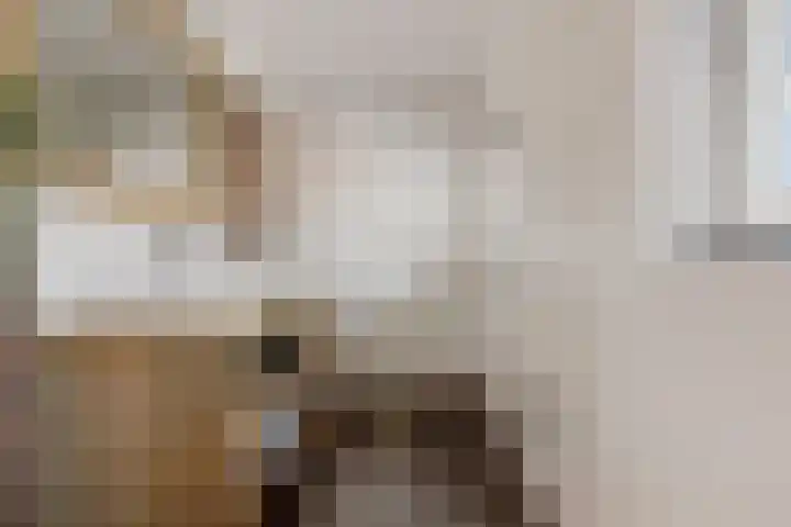 Heemweg 8 Woldendorp thumbnail 52