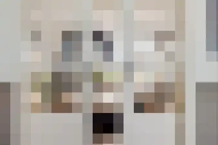 Heemweg 8 Woldendorp thumbnail 6