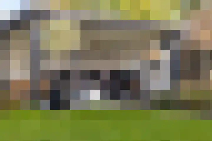 Heemweg 8 Woldendorp thumbnail 9