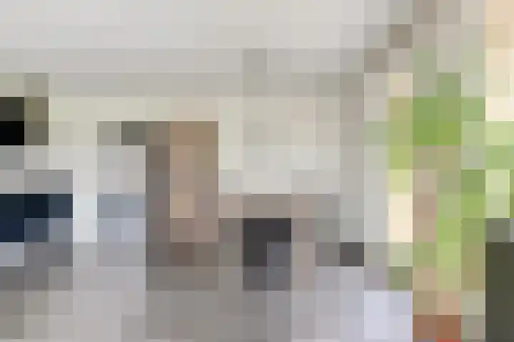 Heemwerf 62 De Lier thumbnail 11