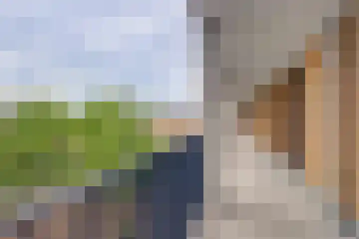 Heemwerf 62 De Lier thumbnail 25