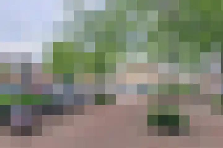 Heemwerf 62 De Lier thumbnail 28