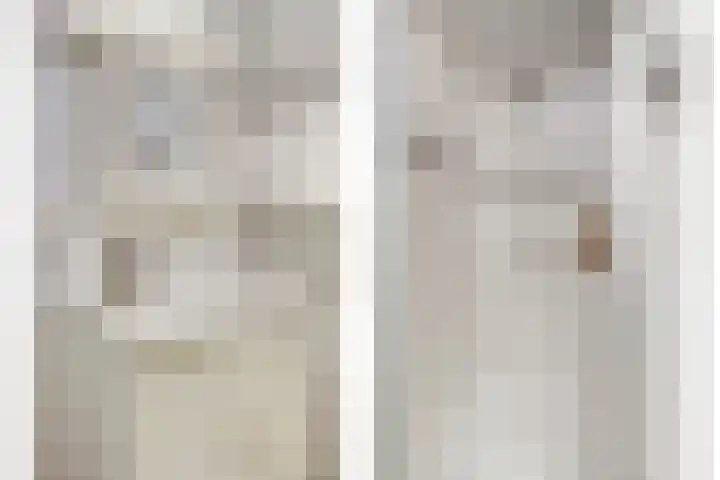 Heemwerf 62 De Lier thumbnail 6