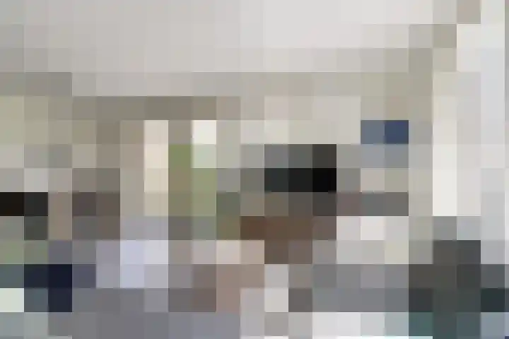 Heemwerf 62 De Lier thumbnail 8